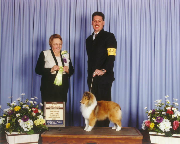 Arenray shelties best sale